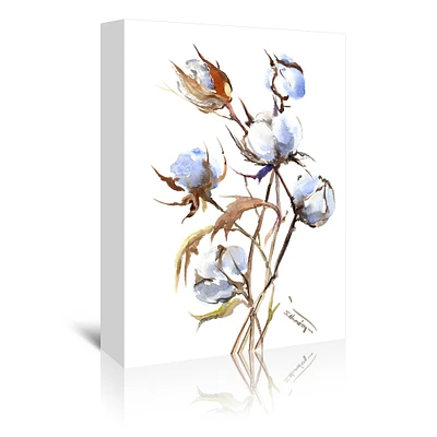 Cotton by Suren Nersisyan  Gallery Wrapped Canvas - Americanflat