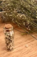 Dried Flowers Bottle, Nature Home Accent, Favor