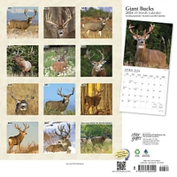 Giant Bucks | 2024 12 x 24 Inch Monthly Square Wall Calendar | Sticker Sheet | StarGifts | Wildlife Animals Hunting