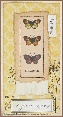 Creative Expressions Sam Poole Nature Finds A5 Clear Stamp Set