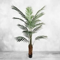 6' Areca Palm Tree with 15 Fronds - Lifelike Artificial Indoor Plant in Pot