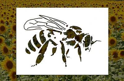 Honey Bee Reusable Stencil (Many Sizes)