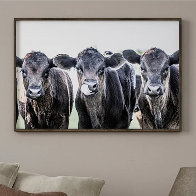 Western nursery wall art, Angus nursery decor, cow canvas print, cattle photo artwork, cowboy or cowgirl nursery