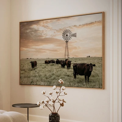 Old windmill and Black Angus cattle, cow canvas photo wall art, western home decor, above couch wall decor