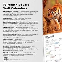 Magnificent Tigers | 2024 12 x 24 Inch Monthly Square Wall Calendar | Sticker Sheet | StarGifts | Wildlife Zoo Animals