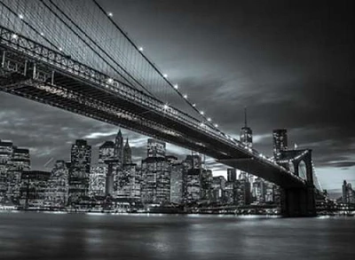 Brooklyn Bridge and lower Manhattan skyline at dusk, New York Poster Print by  Assaf Frank - Item # VARPDXAF20131115234C02