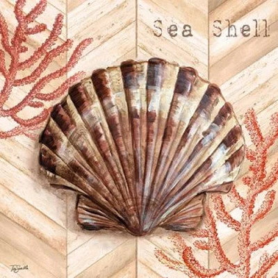 Chevron Shells Coral IV Poster Print by  Tre Sorelle Studios - Item # VARPDXRB9957TS