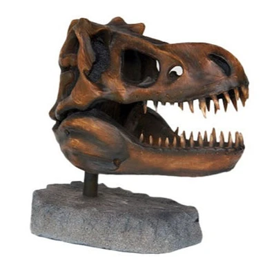 T-Rex Dinosaur Skull Head Life Size Statue