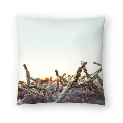 Cactus In The Sunset Arizona Throw Pillow Americanflat Decorative Pillow