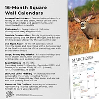 Giant Bucks | 2024 12 x 24 Inch Monthly Square Wall Calendar | Sticker Sheet | StarGifts | Wildlife Animals Hunting