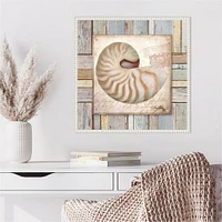 Beach Shell III by Elizabeth Medley Framed Canvas Wall Art