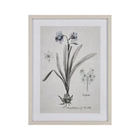 Elk Studio Daffodil Botanic Framed Wall Art