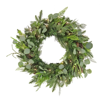 National Tree Company , HGTV Home Collection, 28" Frosted Traditions Frosted Greenery and Berry Wreath, 50 LED Lights- UL