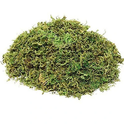 Artificial Greenery Moss for Home Décor