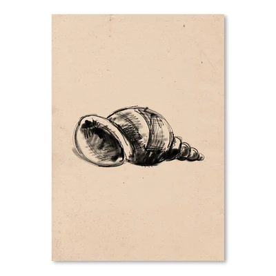 Illustrated Sea Shell by Jetty Home Poster Art Print