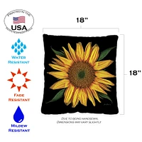 Sunflowers On Black Decorative Fall Indoor/Outdoor Pillow Cover (set of 2)