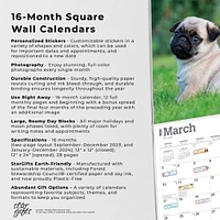 The Beauty of Pug Puppies | 2024 12 x 24 Inch Monthly Square Wall Calendar | Sticker Sheet | StarGifts | Animals Dog Breeds Puppy