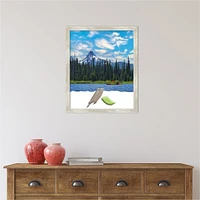 Amanti Art Crackled Metallic Narrow Picture Frame