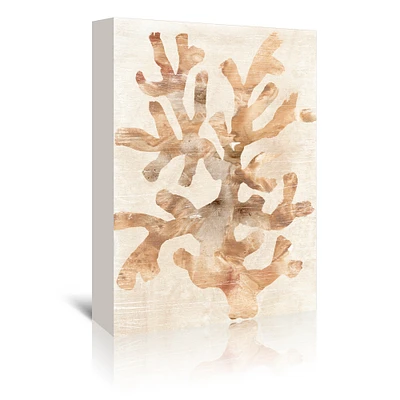 Parchment Coral I by June Erica Vess Gallery Wrapped Canvas