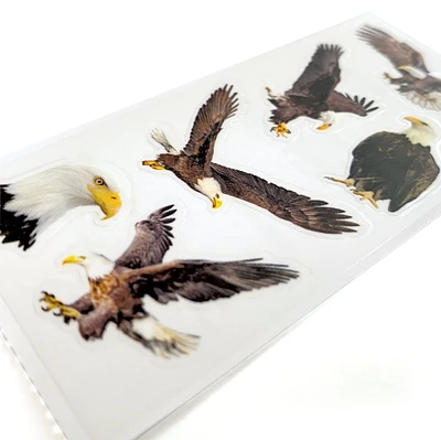 Paper House Decorative Stickers-Eagles