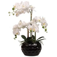 20" Artificial White Phalaenopsis Orchid Arrangement in Black Ceramic Dimple Vase