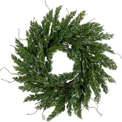 Northlight Iced Cedar Artificial Christmas Wreath, 24-Inch, Unlit