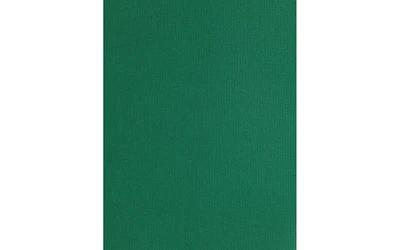 PA Paper Accents Textured Cardstock 8.5" x 11" Highland Green, 73lb colored cardstock paper for card making, scrapbooking, printing, quilling and crafts, 1000 piece box