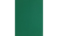 PA Paper Accents Textured Cardstock 8.5" x 11" Highland Green, 73lb colored cardstock paper for card making, scrapbooking, printing, quilling and crafts, 1000 piece box