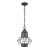 Elk Showroom Onion 10 Wide 1-Light Outdoor Pendant