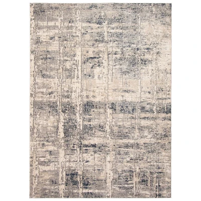 Chaudhary Living 8' x 10' Cream and Beige Distressed Abstract Rectangular Area Throw Rug