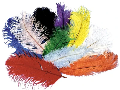 The Costume Center Ostrich Feather Unisex Adult Halloween Costume Accessory