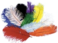 The Costume Center Ostrich Feather Unisex Adult Halloween Costume Accessory