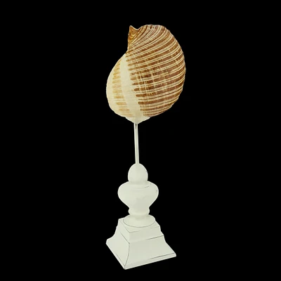 Gallerie II 13.75" Beach Inspired Brown and Cream Seaside Seashell on Pedestal Finial Decoration