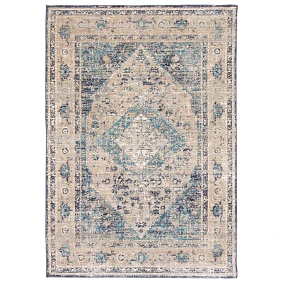 Chaudhary Living 8' x 10' Gray and Blue Distressed Geometric Rectangular Area Throw Rug