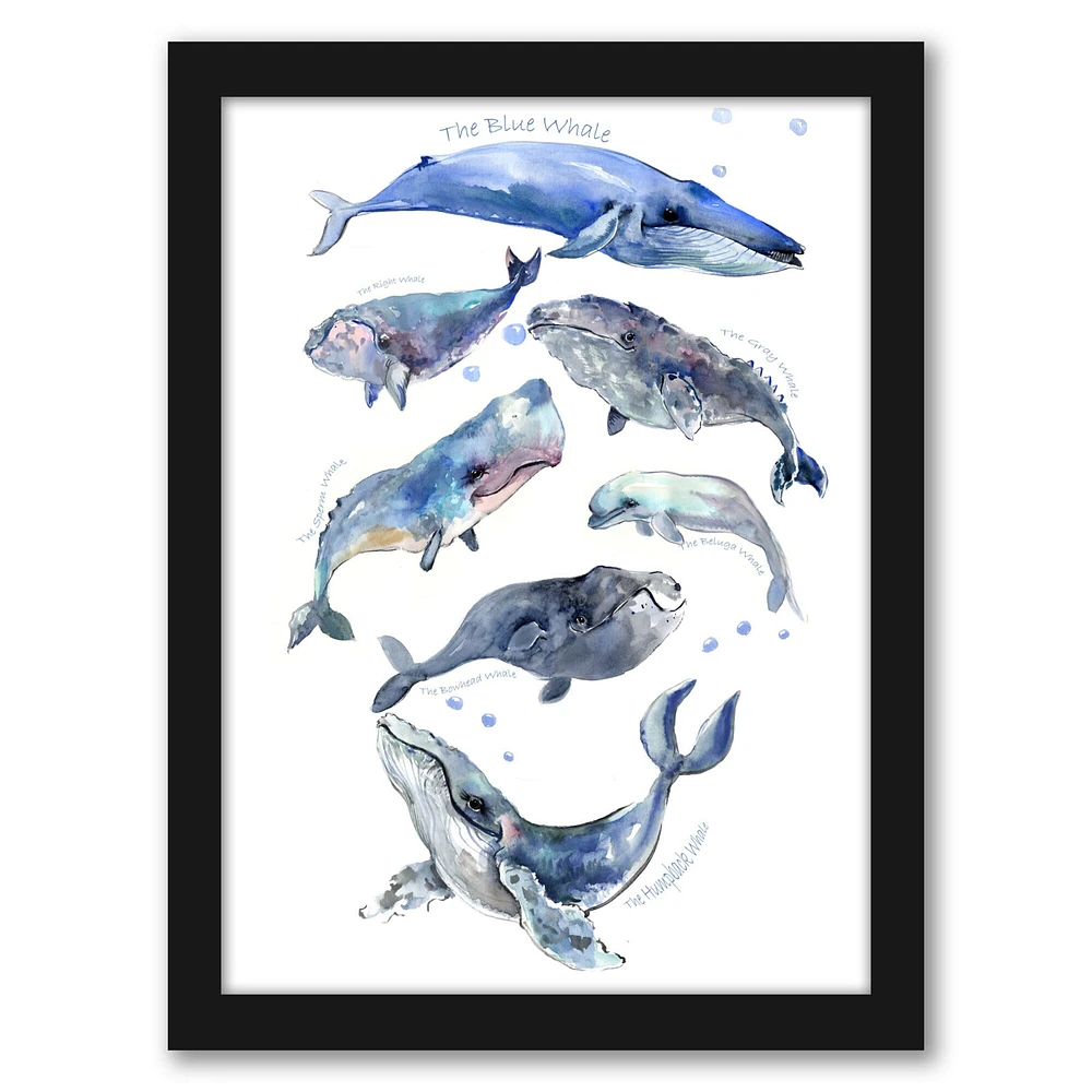 Whales 2 by Suren Nersisyan Frame  - Americanflat