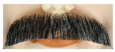 The Costume Center Brown and Gray Downturn M2 Men Adult Halloween Mustache Costume Accessory - One Size