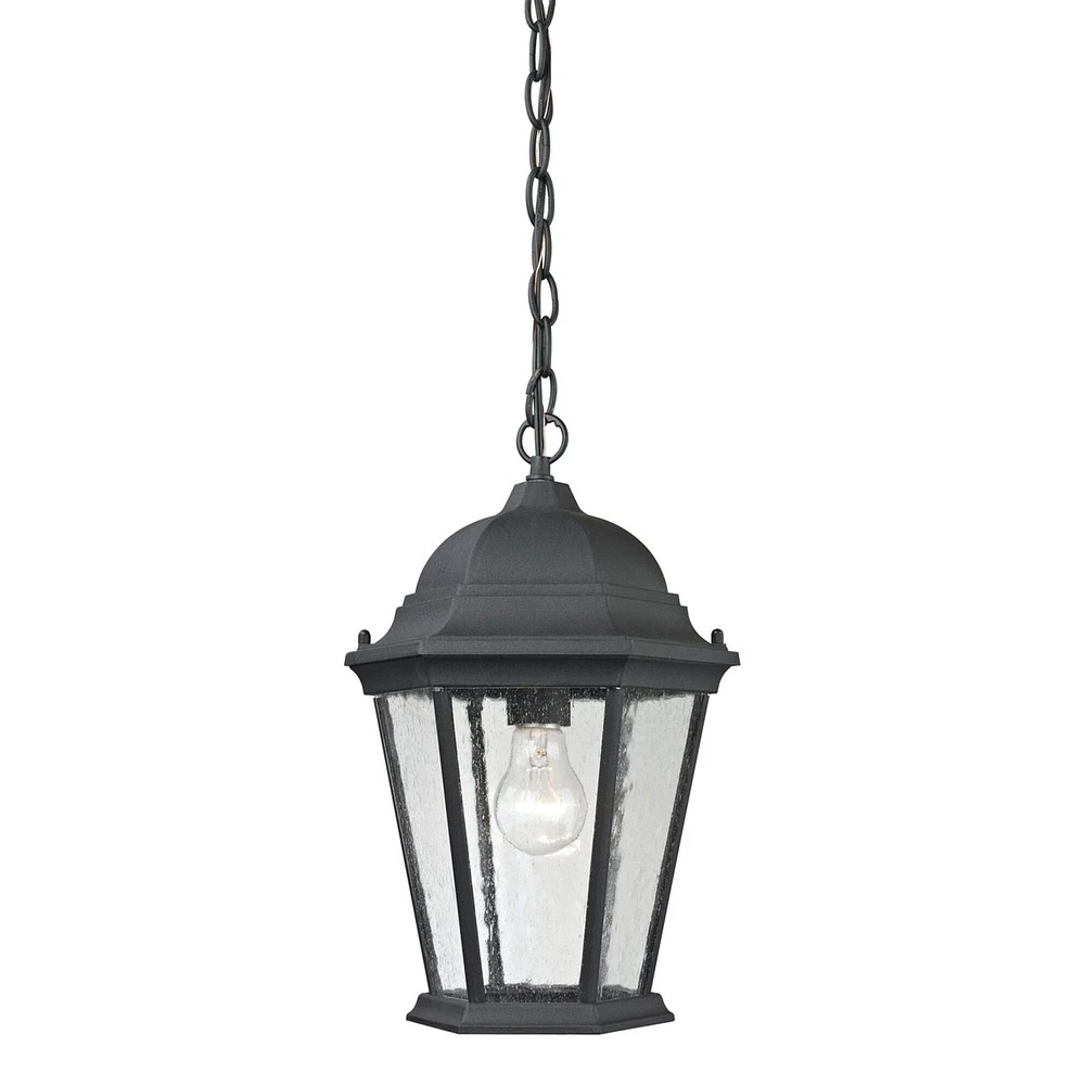 Thomas Temple Hill 10 Wide 1-Light Outdoor Pendant - Matte Textured Black