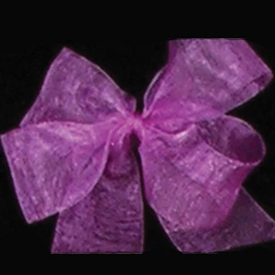 The Ribbon People Purple Plain Organdy Craft Ribbon 1" x 110 Yards