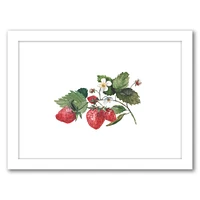 Strawberry by Cami Monet Frame  - Americanflat