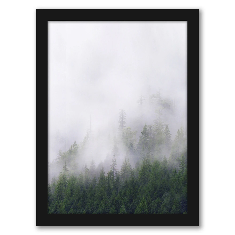 Forest Photography by Tanya Shumkina Frame  - Americanflat