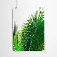 Single Palm Leaf by Tanya Shumkina  Poster Art Print - Americanflat