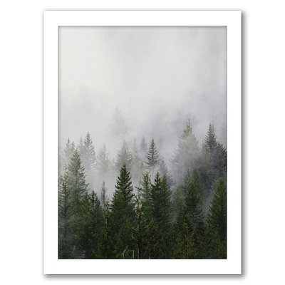 Foggy Autumn Pines by Tanya Shumkina Frame