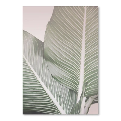 Tropical Plant Leaf by Tanya Shumkina  Poster Art Print - Americanflat