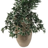 Mini Green & White English Ivy Bush by Floral Home®
