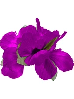 Dark Purple Adult Luau Hawaiian Flower Hibiscus Costume Accessory Hair Clips