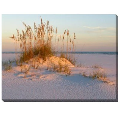Outdoor Living and Style Blue Sea Oats and Sand Outdoor Canvas Rectangular Wall Art Decor 30" x 40"