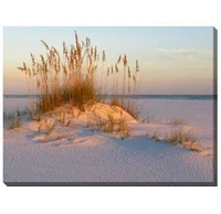 Outdoor Living and Style Blue Sea Oats and Sand Outdoor Canvas Rectangular Wall Art Decor 30" x 40"