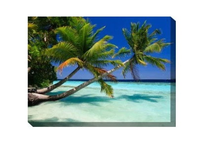 Outdoor Living and Style Green and Blue Palms Duo Outdoor Canvas Rectangular Wall Art Decor 30" x 40"
