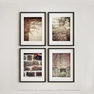 Vintage Industrial-Style Neutral Wall Gallery Set of 4 Art Prints | Not Framed | Brick and Ivy in Beige, Brown or Black and White