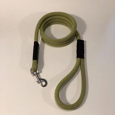 Dog leash made from retired climbing rope